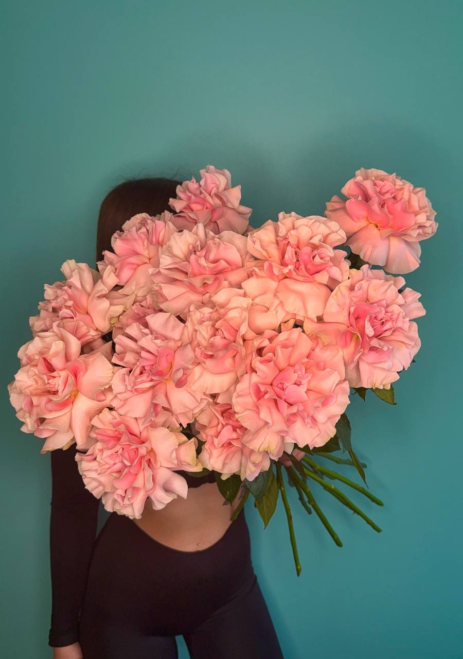 Букет из 13 французских роз