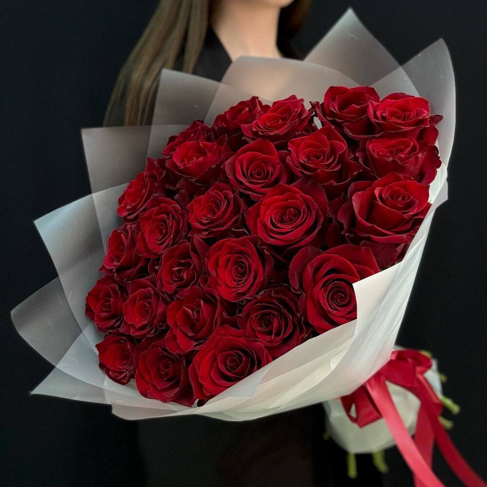 Роза Эксплорер