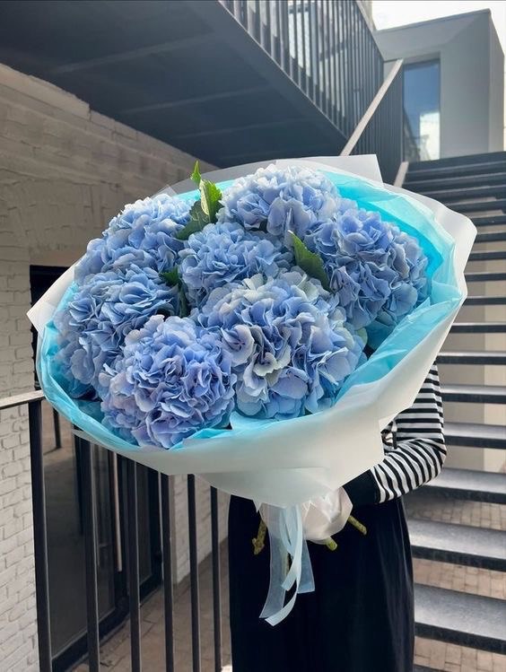 Букет из 7 Гортензий